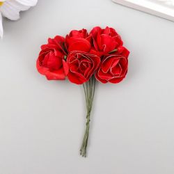 УЧ0557289_бол