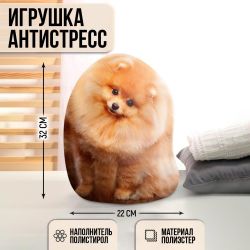 УЧ0733645_бол
