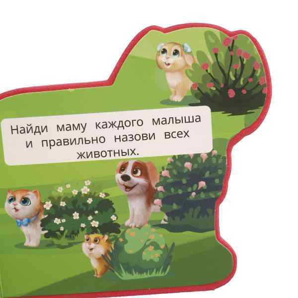 УЧ0908456_бол05