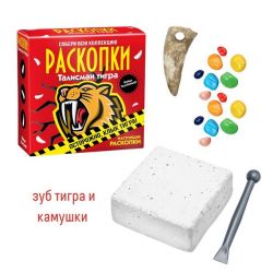 УЧ0890068_бол