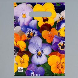 УЧ0783806_бол