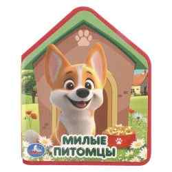 УЧ0908455_бол