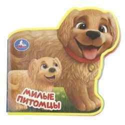 УЧ0908456_бол