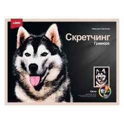 УЧ0901640_бол