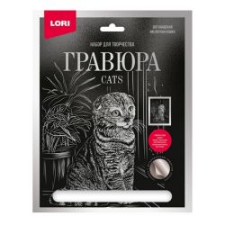 УЧ0665283_бол