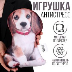 УЧ0764077_бол
