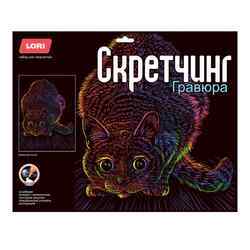 УЧ0901648_бол