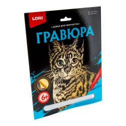 УЧ0515386_бол