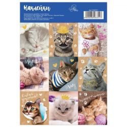 УЧ0601036_бол