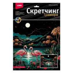 УЧ0901664_бол