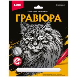 УЧ0612537_бол