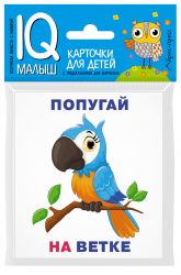 УЧ0824263_бол