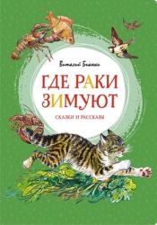 УЧ0803709_бол