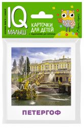 УЧ0824253_бол
