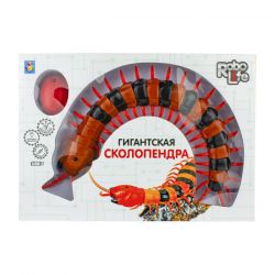 УЧ0445467_бол