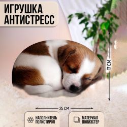 УЧ0733636_бол