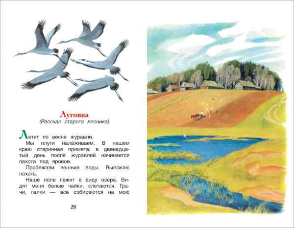 УЧ0151841_бол02