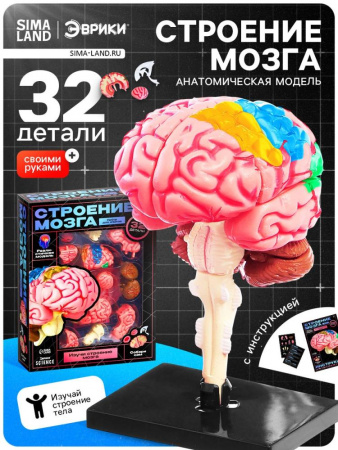 УЧ0878951_бол