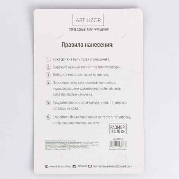 УЧ0557380_бол04