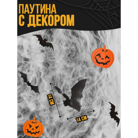 УЧ0675355_бол02