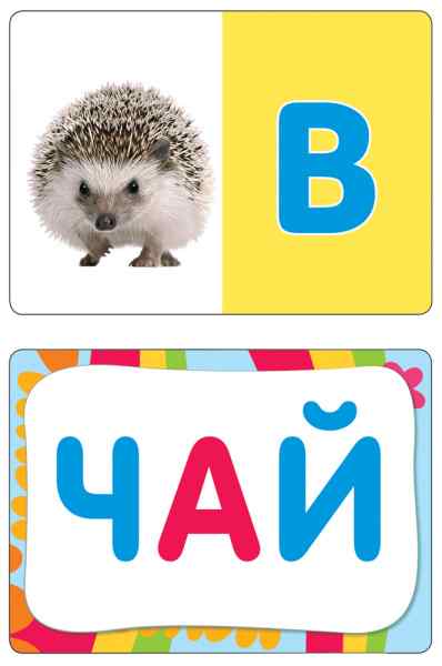 УЧ0015315_бол03
