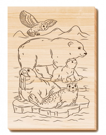 УЧ0767664_бол03