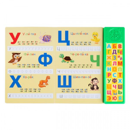 УЧ0423589_бол04