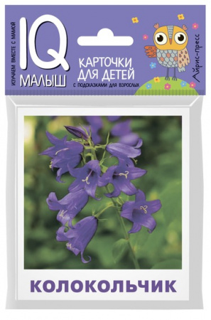 УЧ0824315_бол