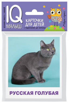 УЧ0824342_бол