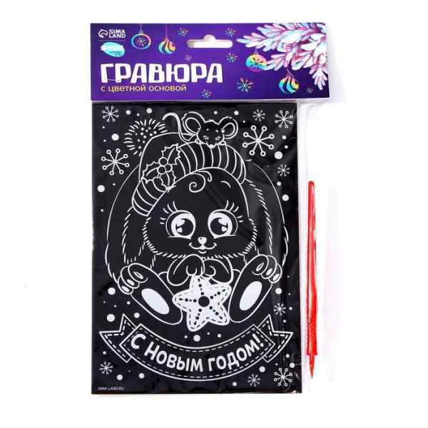 УЧ0694802_бол04