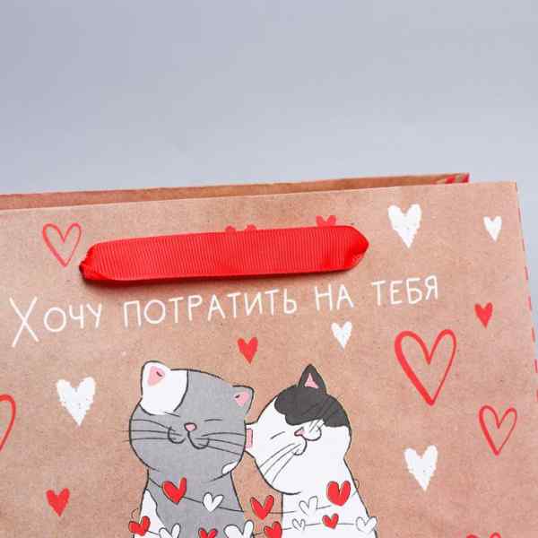 УЧ0700340_бол03