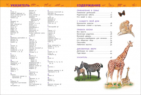 УЧ0447444_бол03