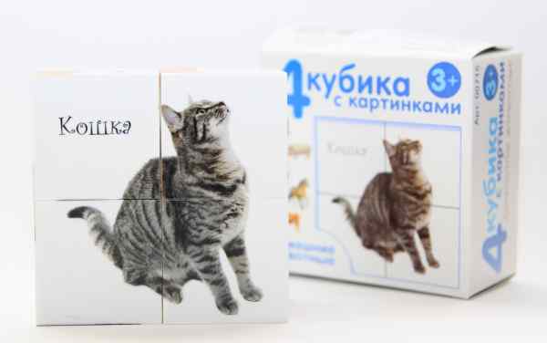 УЧ0447701_бол02