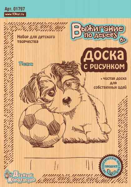 УЧ0232531_бол02