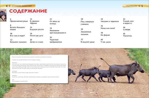 УЧ0094672_бол04
