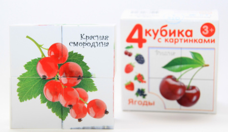 УЧ0447705_бол02